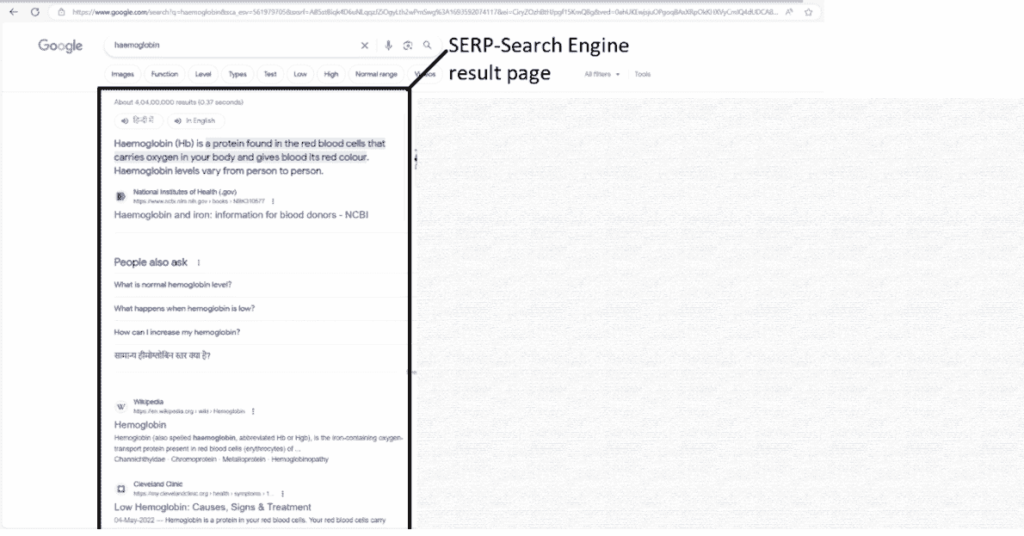 search engine result page (SERP)